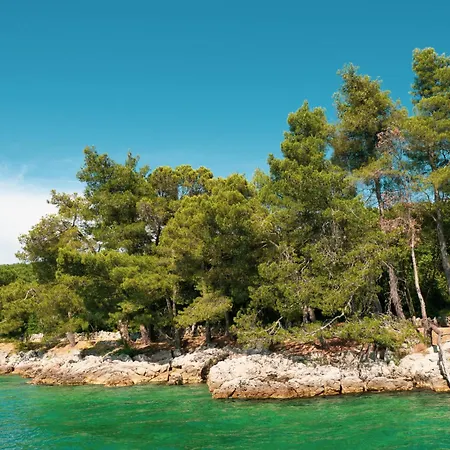 Vid By Interhome Vantacici